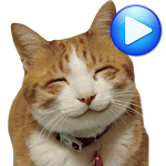 Cover Image of Download ANIMATED WAstickerApps Cats an  APK