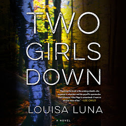 Obraz ikony: Two Girls Down: A Novel