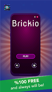 Brickio - Brick Game
