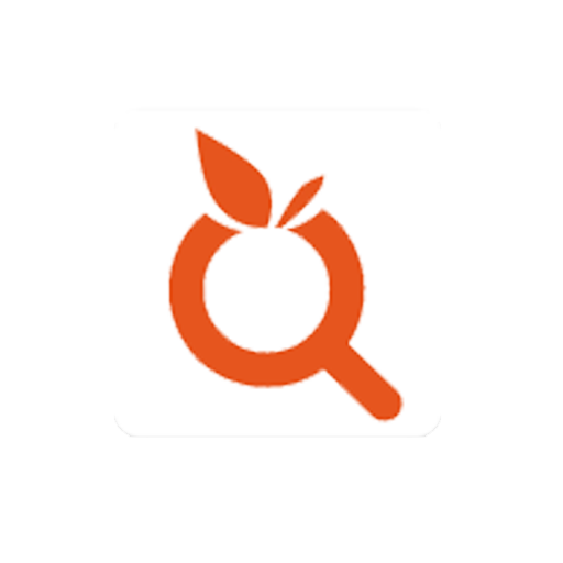 OrangeTrack Inspection logo