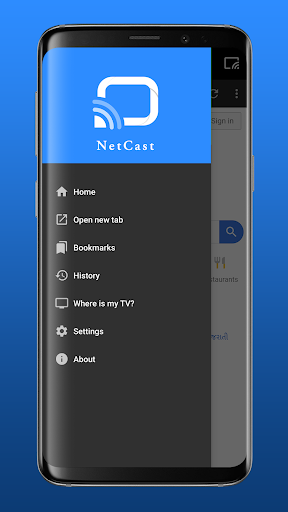 NetCast Player Screen 2
