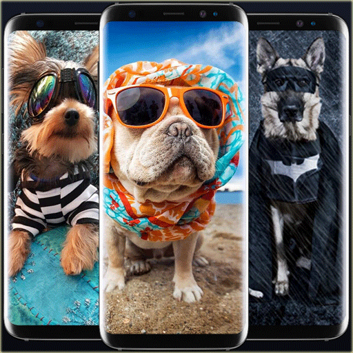 Cute Dog Outfit Wallpaper Изтегляне на Windows