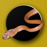 Top 29 Books & Reference Apps Like Australian Snake ID - Best Alternatives
