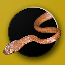 「Australian Snake ID」圖示圖片