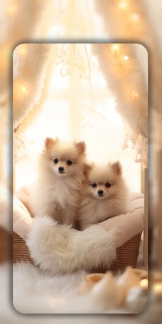 Dog Wallpapers & Cute Puppy 4Kのおすすめ画像5