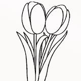 Tulip Coloring icon