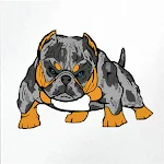 Cover Image of 下载 Dogma bully dog app 1.0 APK