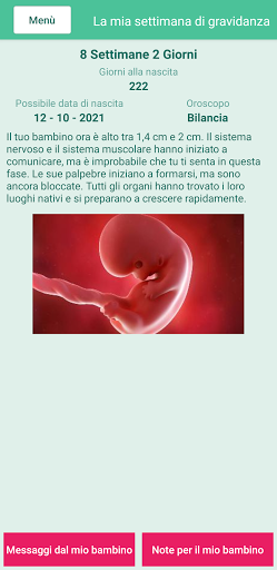 Anteprima dell'app