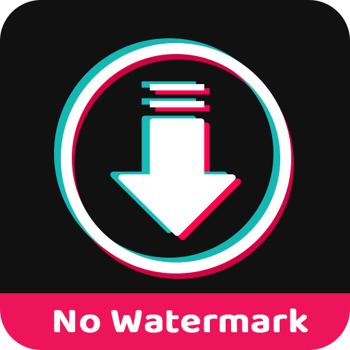 Baixar No Watermark Video Downloader