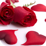 Images of love with roses icon