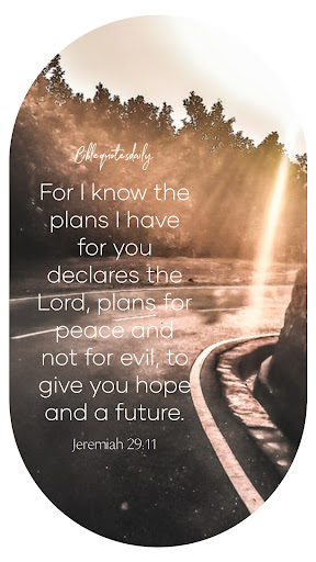 Bible Quotes Daily. Screen 2