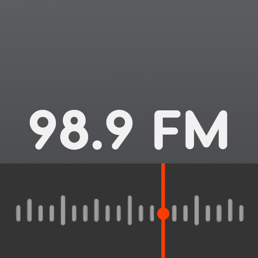 Rádio Meridional FM 98.9 logo
