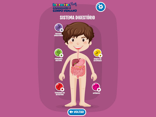 Conhecendo o Corpo Humano Screen 3