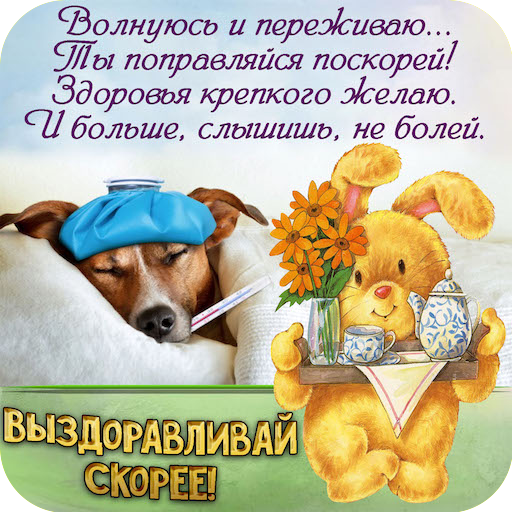Выздоравливай Открытки и Картинки