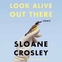 Icon image Look Alive Out There: Essays