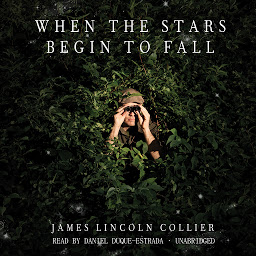 Icon image When the Stars Begin to Fall