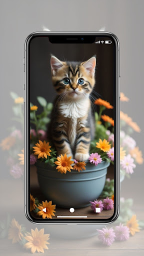 Cat Wallpapers