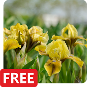 Top 49 Personalization Apps Like Iris Flowers Live Wallpaper FREE - Best Alternatives