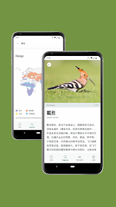 屏幕截图图片
