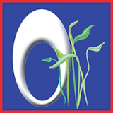ORCHID VoIP icon