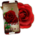 Red Rose Launcher Theme