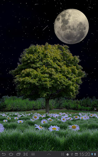 Summer Trees Free Screenshot 3 - AppWisp.com