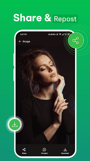 Save Video Status - Status App Screen 3