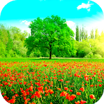 Cover Image of Download Spring Wallpaper HD  APK