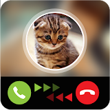 new Funny Cat Calling Prank icon