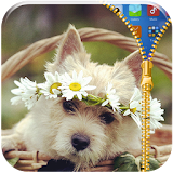 Cute Dog Lock Screen App icon
