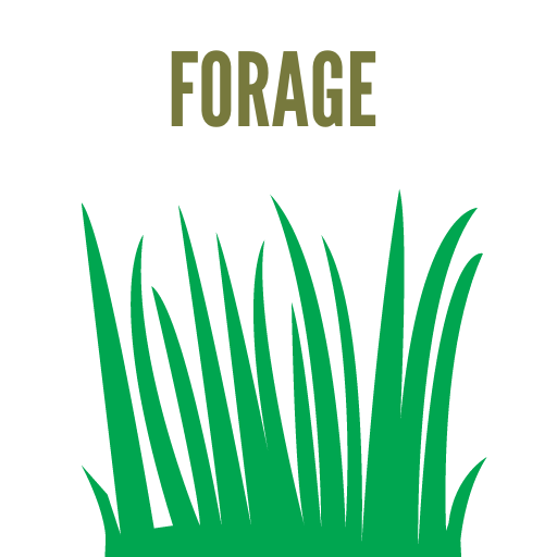 Forage Crops Grower Apps on Google Play