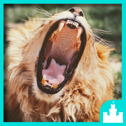 Epic Rawr Sounds logo