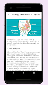 Immagine screenshot