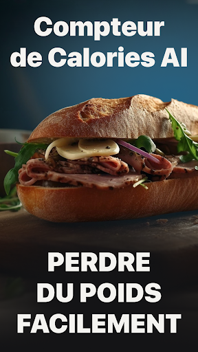 Aperçu de l'application