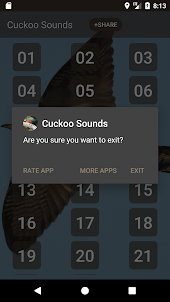Cuckoos Bird Sounds
