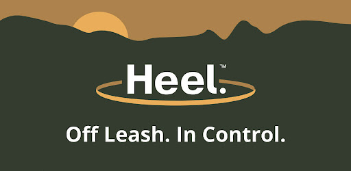 Heel Firmware Update