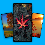 Cover Image of Download Autumn Wallpaper  APK