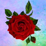 WASticker Roses stickers icon