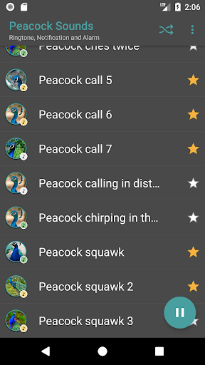 Peacock Sounds Screen 3