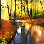 Cover Image of Download Autumn Forest Live Wallpaper 1.0.7 APK