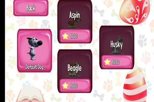 PetVet  Cats and Dogs