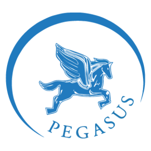 Pegasus Shuttle logo