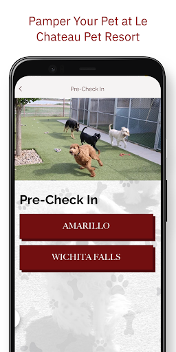 Le Chateau Pet Resort Screen 3