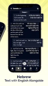 Hebrew Bible Study&Translation