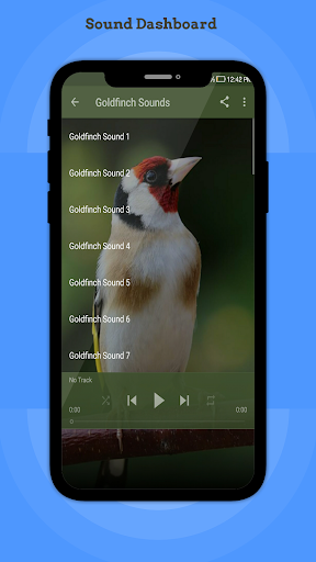 Goldfinch Sounds Screen 2