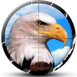 Wild Eagle Hunt  -  3d Hunter icon