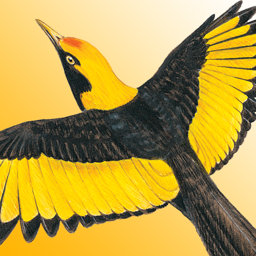 Morcombe's Birds of Aus (Lite) 1.0.2 Icon