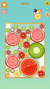 Fruit Merge – Color Sort 2