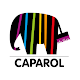 MALER CLUB CAPAROL विंडोज़ पर डाउनलोड करें