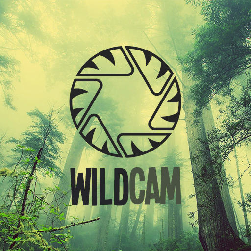 WildCam logo